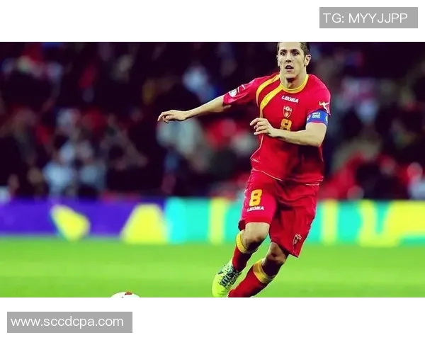 法萨巴夏普尔对阵强敌的精彩赛事回顾与分析