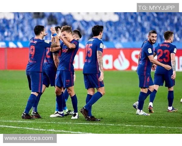 诺维奇与斯蒂文激战正酣比分揭晓引发球迷热议