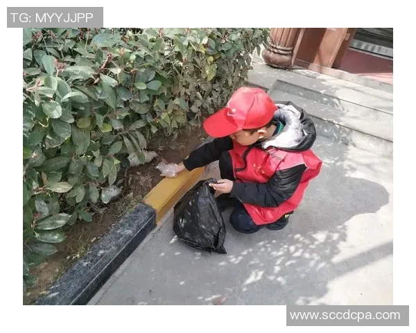 顾全大局与个人利益的平衡探讨在现代社会中的重要性与实践意义