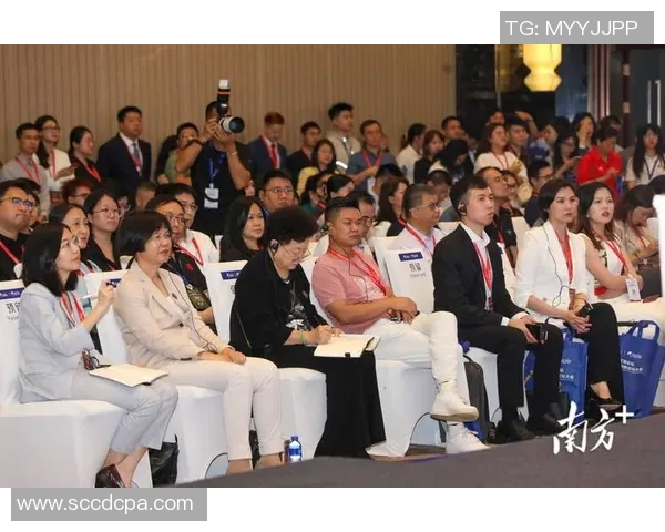 南方钢铁与中央脉冲的较量：技术创新与市场竞争的深度解析