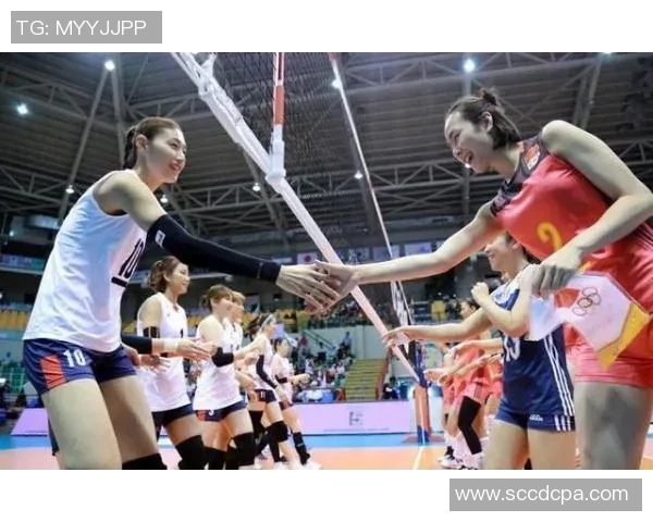 南京排球队的训练与比赛状态全景揭秘，助力排球梦想的崛起与发展