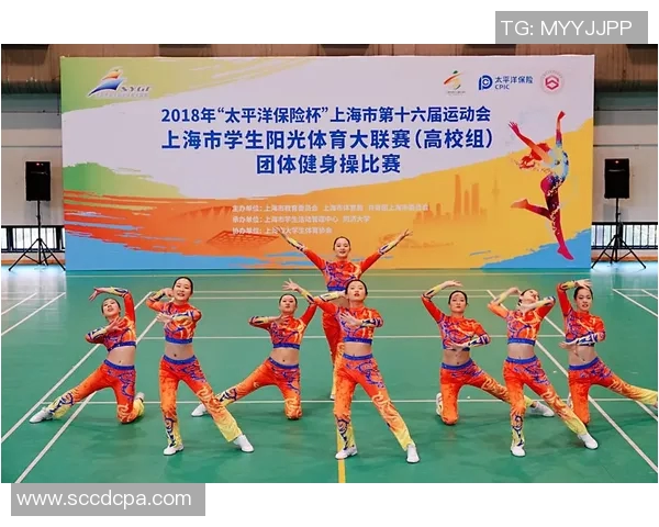 最新飞盘团队协作排名揭晓上海飞盘队稳居第一名