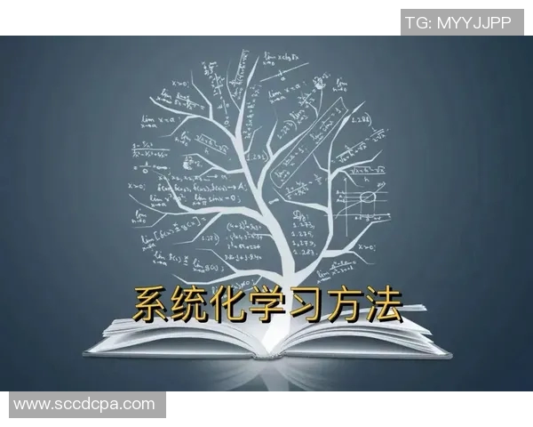 科学街舞训练法:提升个人能力的系统化方法与技巧分享MBA