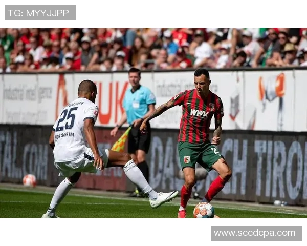 霍芬海姆对阵利物浦精彩集锦回顾及比赛亮点分析