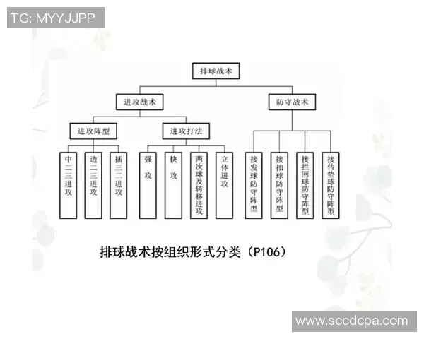上海排球队转换体系的战术分析与实践探索